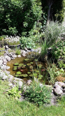 20170527_112439.jpg