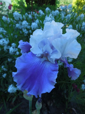DSCN5277_klein.jpg