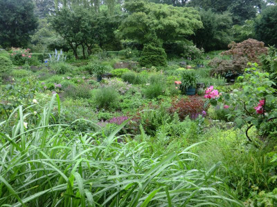 2017-06-04 10.57.37.jpg