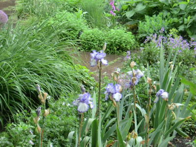 2017-06-04 11.10.07.jpg