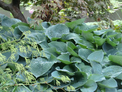 2017-06-04 11.16.39.jpg