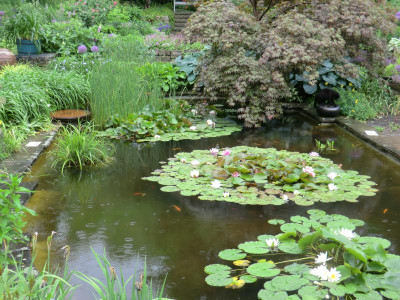 2017-06-04 11.20.56.jpg