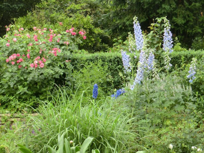 2017-06-04 11.21.41.jpg
