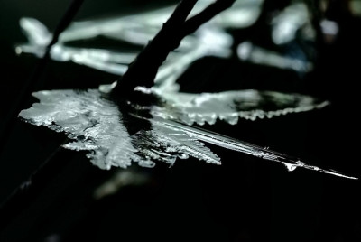 Eisschmetterling_Kristall_4_24-12-2006.jpg