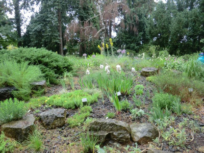 2017-06-04 11.31.55.jpg