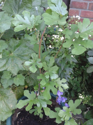 20170605_181214.jpg