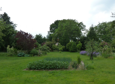tg_170605_6.jpg
