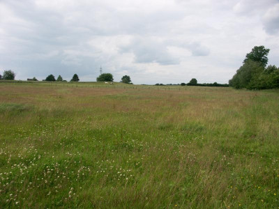 PICT0323.JPG