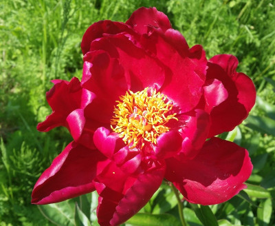 20170604_165420x.jpg