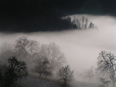 a_nebel_dez2.jpg