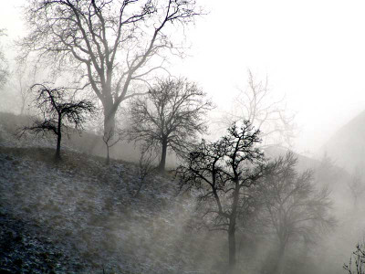 a_nebel_dez3.jpg