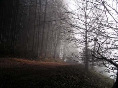 mitte_dezember_zwischenwelt3.jpg