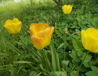 2017-05-25 11.41.20.jpg