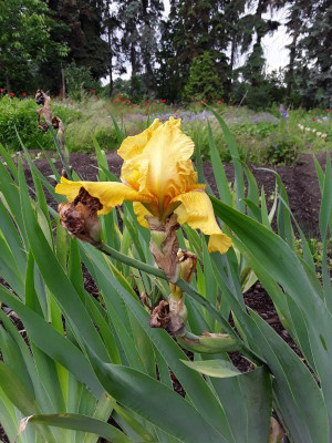 20170607_093414.jpg