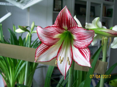 100_4992.JPG