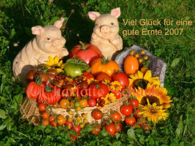 gute_Ernte_2007.JPG
