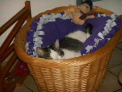 DSCN1365.JPG