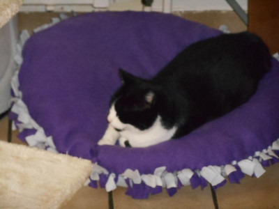 DSCN1366.JPG