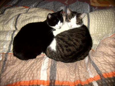 Max und Moritz.JPG