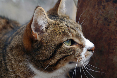 DSC_2338.jpg