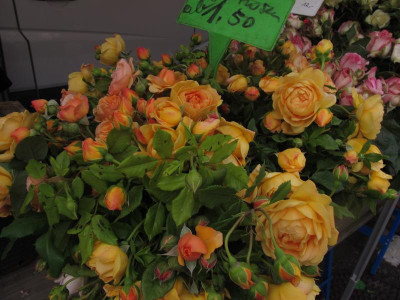 rosenmarkt.img.JPG