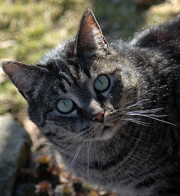 DSC_2310.jpg