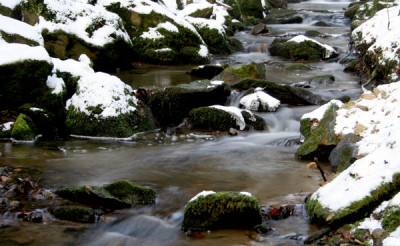 Schnee-Bach1.jpg