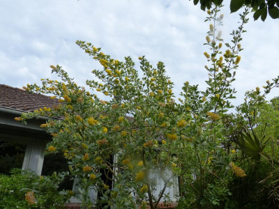 P1020089.JPG