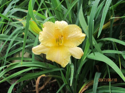 IMG_3320 small.jpg