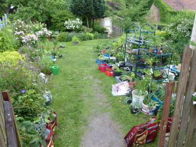 2017-06-10 pur-Treffen Pflanzentausch 1.jpg