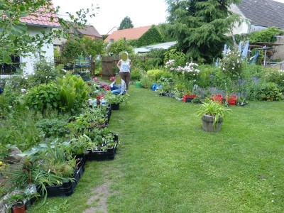 2017-06-10 pur-Treffen Pflanzentausch 2.jpg