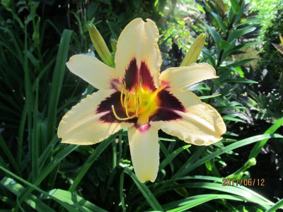 IMG_3343 small.jpg