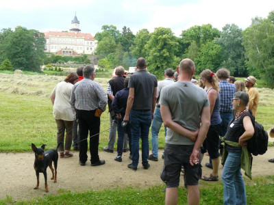 P1220875.JPG
