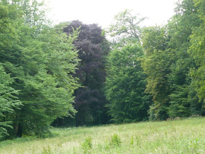 P1220879.JPG
