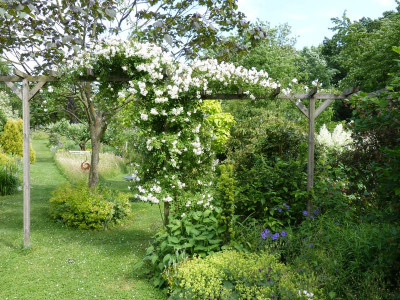 2017-06-12 Rosen 'Lykkefund' 1.jpg
