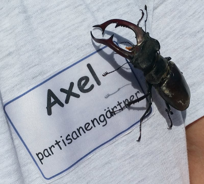 20170611_104119_eHirschkäfer.jpg