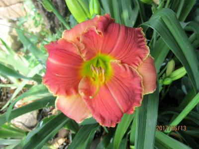 IMG_3359 small.jpg