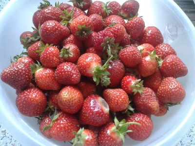 20170614_145859.jpg
