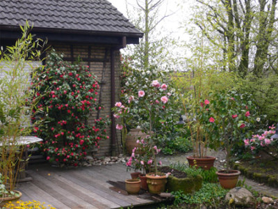 Terrasse-06.jpg