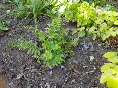 20170615_124341.jpg