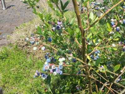 20170615_135221.jpg