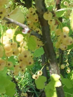 20170615_135518.jpg