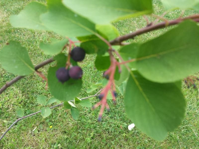 20170615_145756.jpg