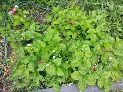 20170615_145715.jpg