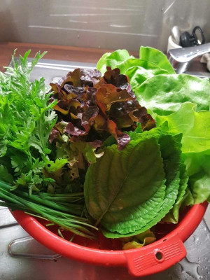 salat.jpg