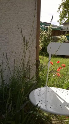 Lavendel_2017.jpg