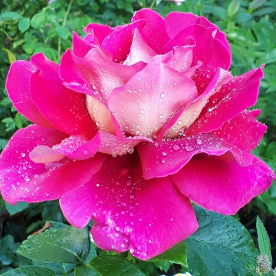 20170616_072514.jpg