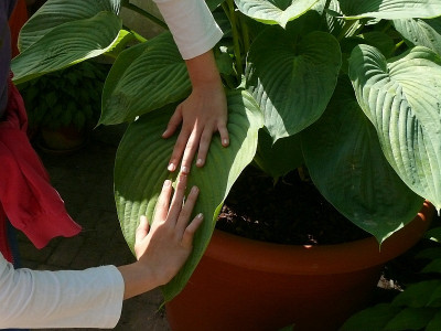 P1280710_cut_800.jpg