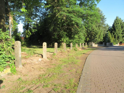 Zaun 18.6.17 ue.JPG