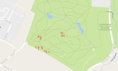 Karte Arboretum Tharandt.JPG